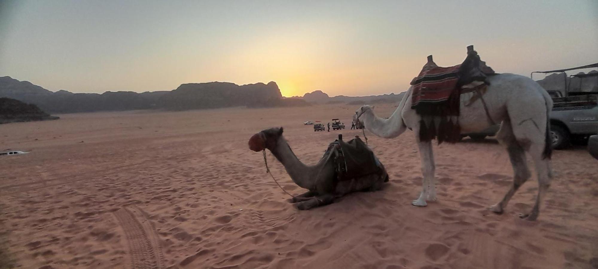Desert Star Camp Wadi Rum Exterior foto
